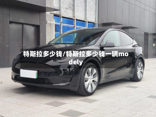 特斯拉多少钱/特斯拉多少钱一辆modely-第2张图片