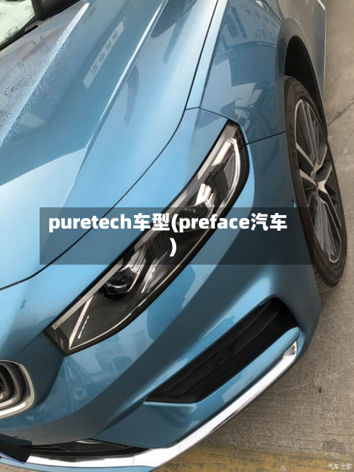 puretech车型(preface汽车)