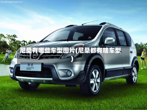 尼桑有哪些车型图片(尼桑都有啥车型)-第2张图片