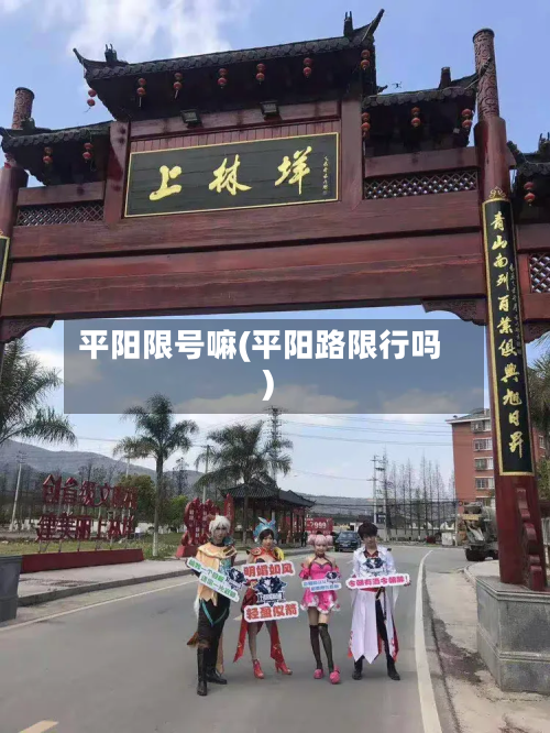 平阳限号嘛(平阳路限行吗)