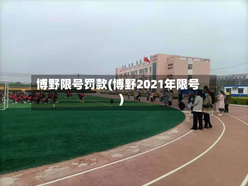 博野限号罚款(博野2021年限号)-第2张图片