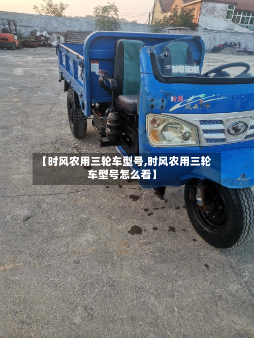 【时风农用三轮车型号,时风农用三轮车型号怎么看】-第2张图片