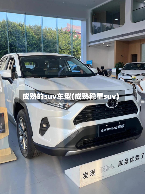 成熟的suv车型(成熟稳重suv)