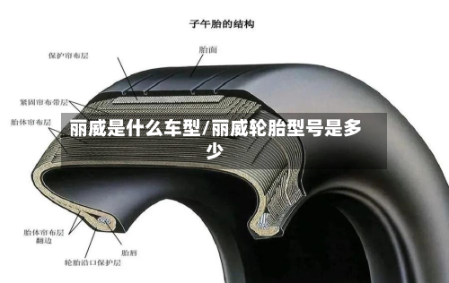 丽威是什么车型/丽威轮胎型号是多少-第3张图片