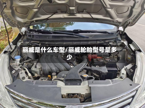 丽威是什么车型/丽威轮胎型号是多少-第2张图片