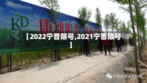 【2022宁晋限号,2021宁晋限号】-第3张图片