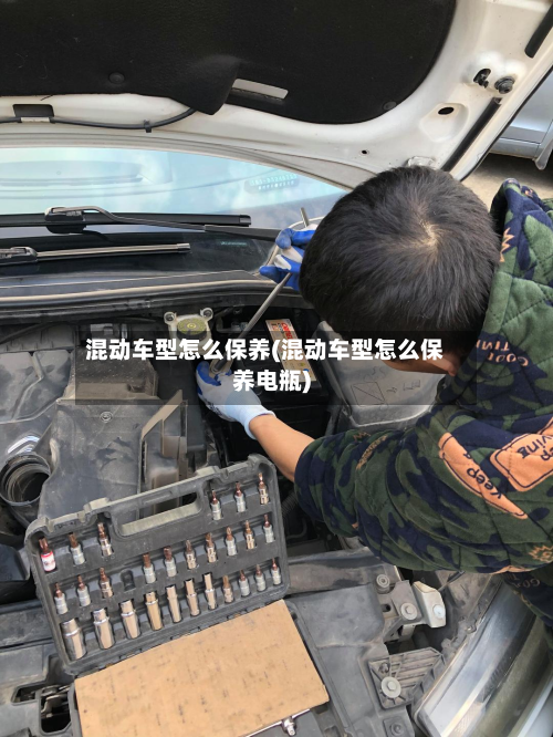混动车型怎么保养(混动车型怎么保养电瓶)