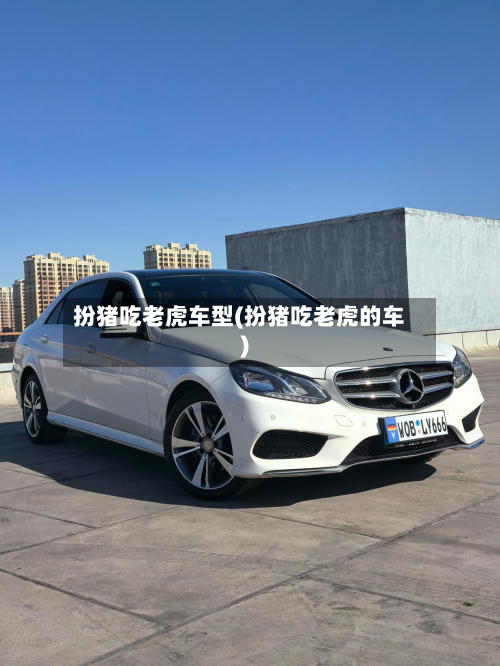 扮猪吃老虎车型(扮猪吃老虎的车)-第2张图片