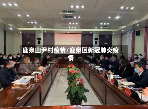 鹿泉山尹村疫情/鹿泉区新冠肺炎疫情