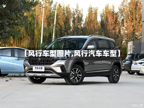 【风行车型图片,风行汽车车型】