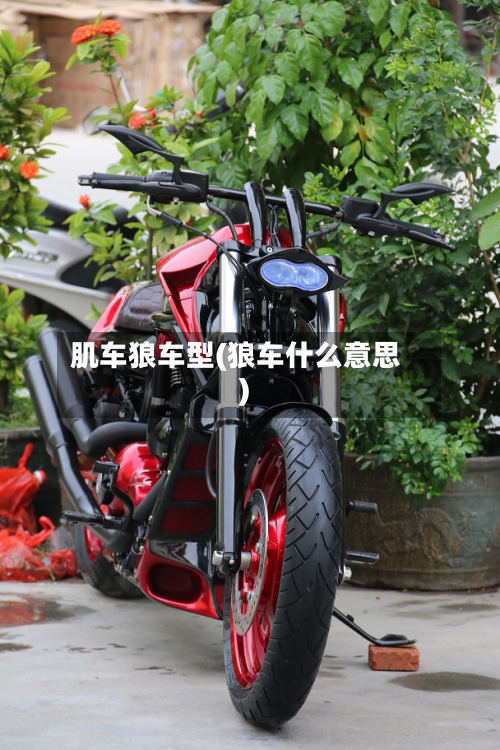肌车狼车型(狼车什么意思)-第2张图片