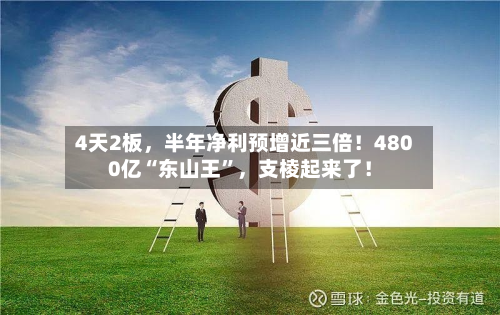 4天2板	，半年净利预增近三倍！4800亿“东山王”，支棱起来了！-第2张图片