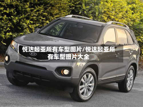 悦达起亚所有车型图片/悦达起亚所有车型图片大全-第2张图片