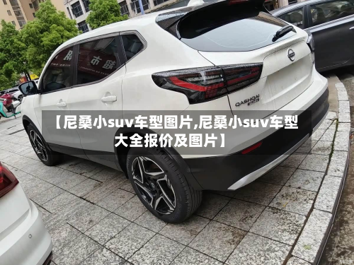 【尼桑小suv车型图片,尼桑小suv车型大全报价及图片】