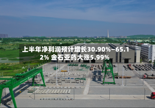 上半年净利润预计增长30.90%—65.12% 金石亚药大涨5.99%