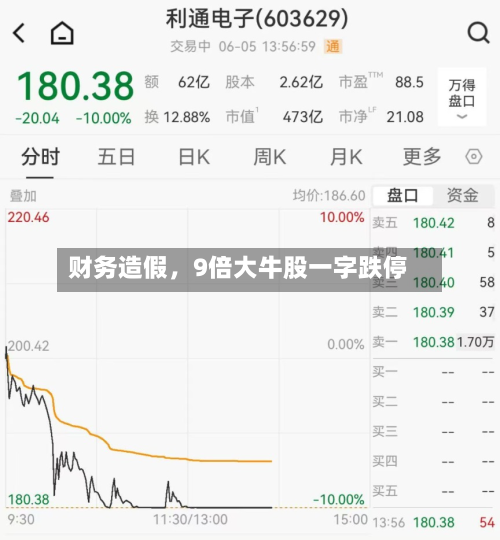 财务造假，9倍大牛股一字跌停-第3张图片