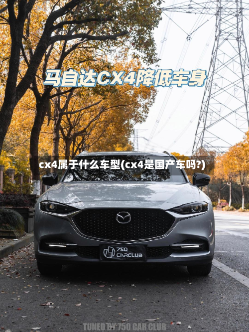 cx4属于什么车型(cx4是国产车吗?)