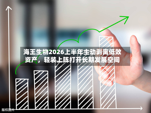 海王生物2026上半年主动剥离低效资产，轻装上阵打开长期发展空间-第2张图片