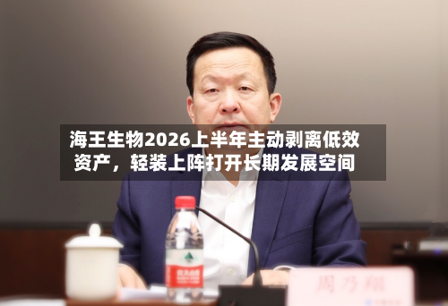海王生物2026上半年主动剥离低效资产，轻装上阵打开长期发展空间-第3张图片