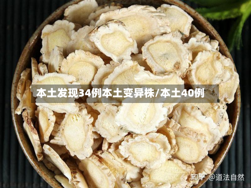 本土发现34例本土变异株/本土40例-第3张图片