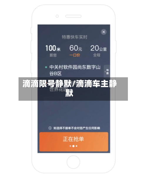 滴滴限号静默/滴滴车主静默