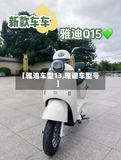 【雅迪车型13,雅迪车型号】-第2张图片
