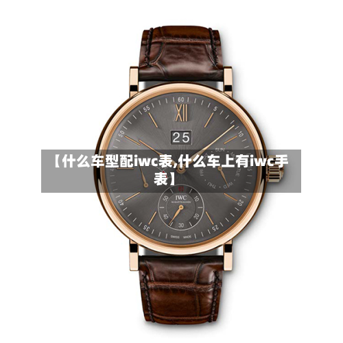 【什么车型配iwc表,什么车上有iwc手表】-第3张图片