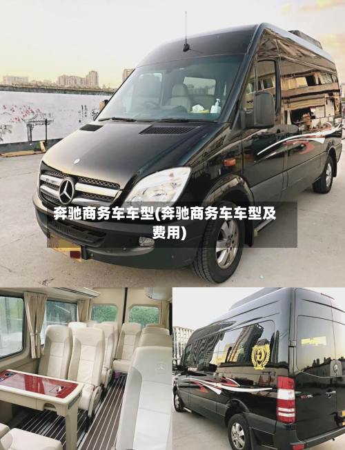 奔驰商务车车型(奔驰商务车车型及费用)-第2张图片