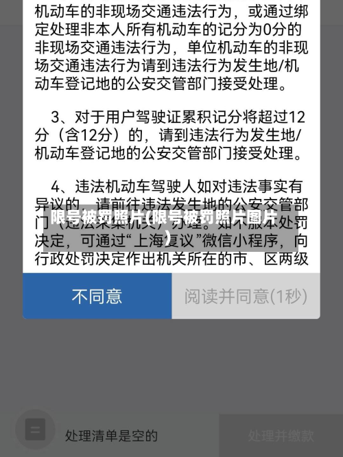限号被罚照片(限号被罚照片图片)