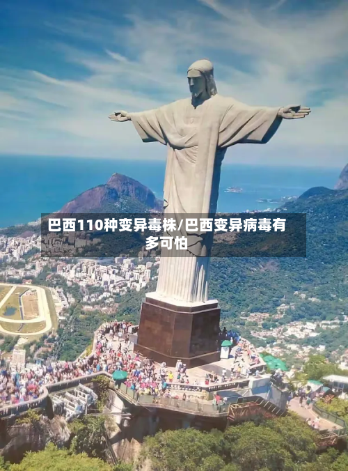 巴西110种变异毒株/巴西变异病毒有多可怕-第3张图片