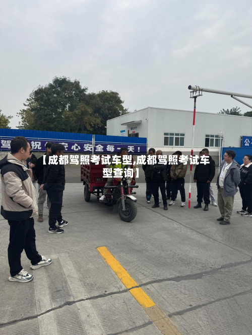 【成都驾照考试车型,成都驾照考试车型查询】
