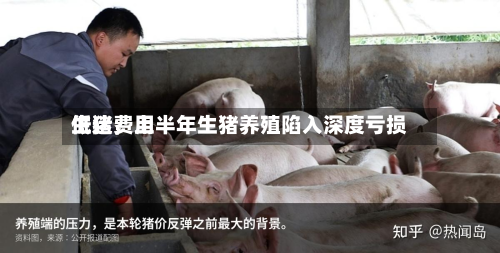生猪费用低迷，上半年生猪养殖陷入深度亏损-第1张图片