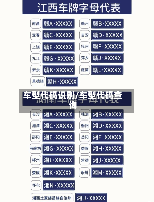 车型代码识别/车型代码查询