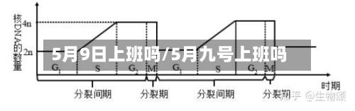 5月9日上班吗/5月九号上班吗-第2张图片