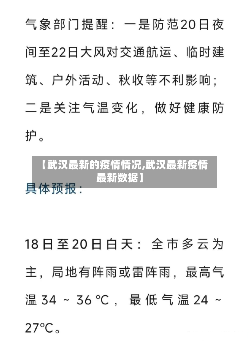 【武汉最新的疫情情况,武汉最新疫情最新数据】-第3张图片