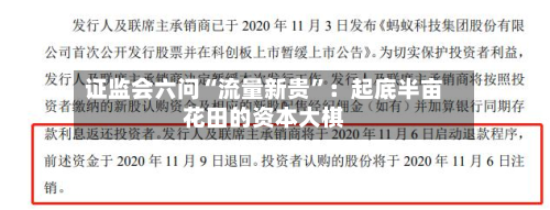 证监会六问“流量新贵”：起底半亩花田的资本大棋