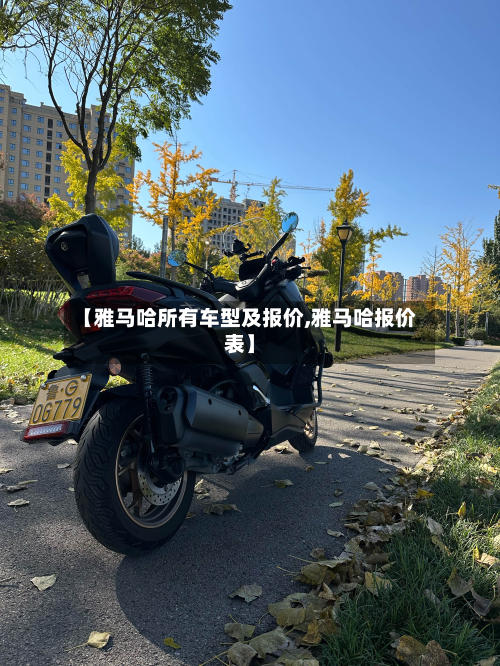 【雅马哈所有车型及报价,雅马哈报价表】-第3张图片