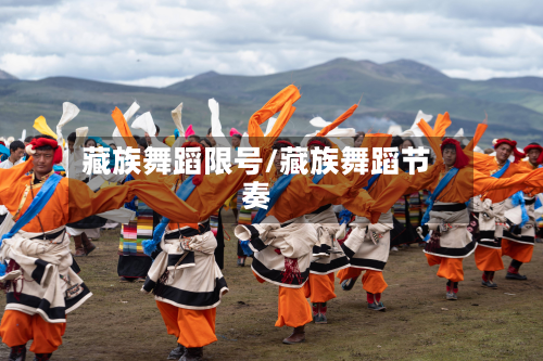 藏族舞蹈限号/藏族舞蹈节奏-第3张图片