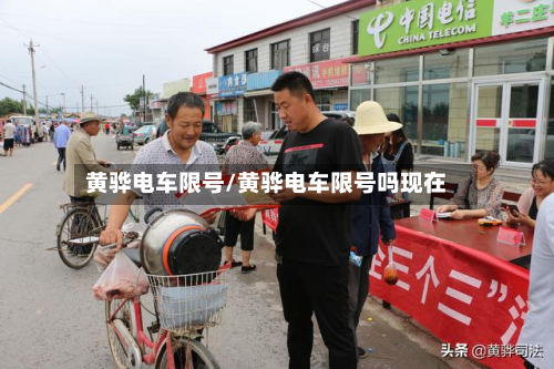 黄骅电车限号/黄骅电车限号吗现在-第3张图片
