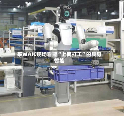 来WAIC现场看能“上岗打工”的具身智能-第2张图片