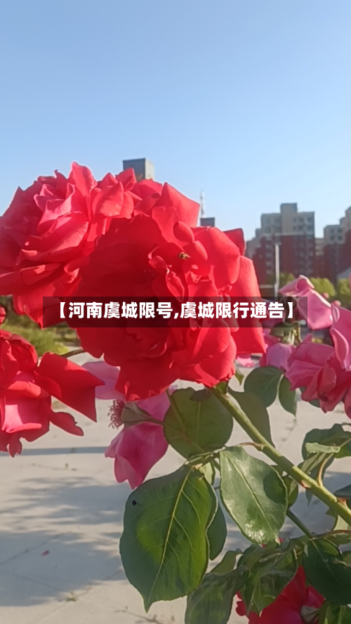 【河南虞城限号,虞城限行通告】