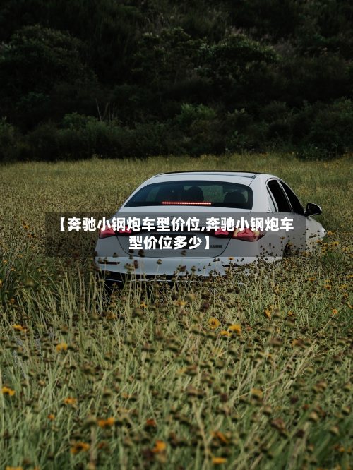 【奔驰小钢炮车型价位,奔驰小钢炮车型价位多少】-第2张图片