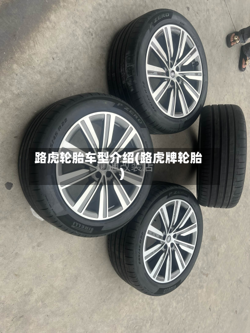 路虎轮胎车型介绍(路虎牌轮胎)-第2张图片