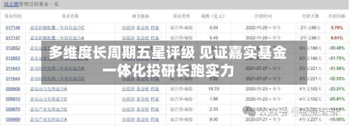 多维度长周期五星评级 见证嘉实基金一体化投研长跑实力-第3张图片