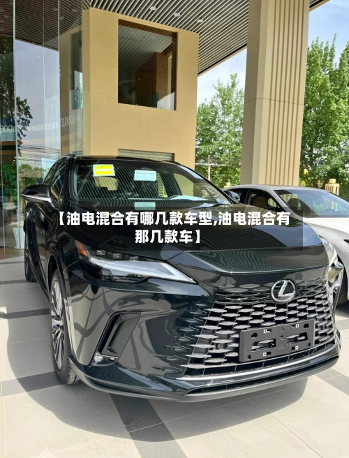 【油电混合有哪几款车型,油电混合有那几款车】