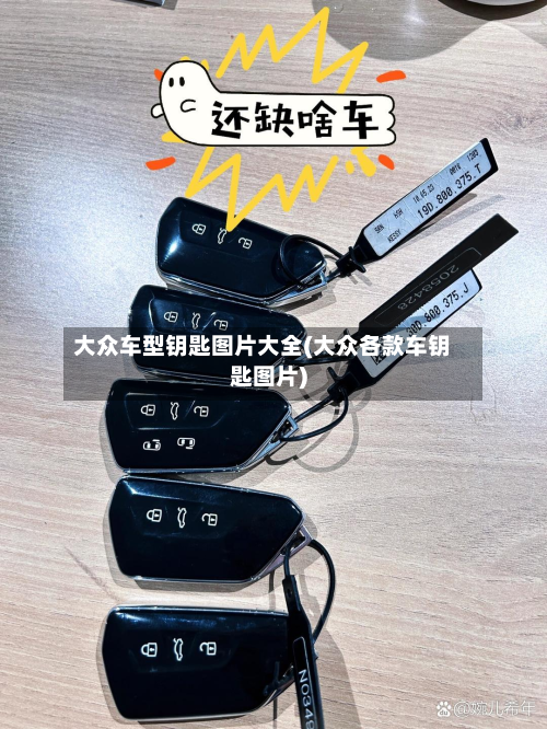大众车型钥匙图片大全(大众各款车钥匙图片)-第3张图片