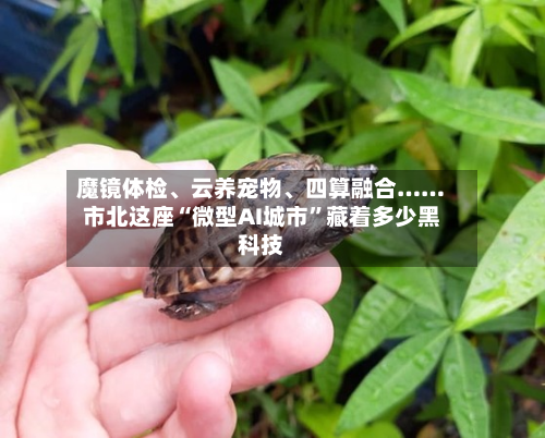 魔镜体检、云养宠物、四算融合……市北这座“微型AI城市”藏着多少黑科技