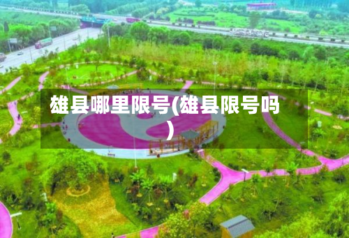 雄县哪里限号(雄县限号吗)-第2张图片