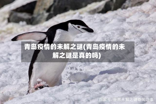 青岛疫情的未解之谜(青岛疫情的未解之谜是真的吗)