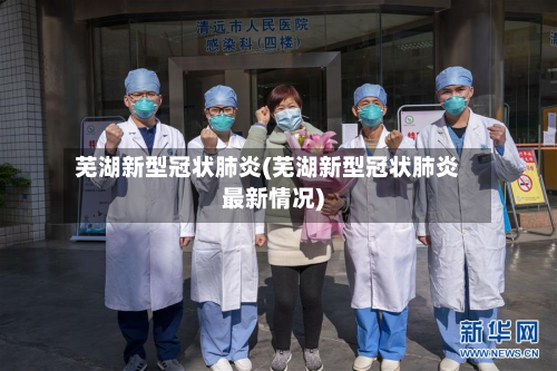 芜湖新型冠状肺炎(芜湖新型冠状肺炎最新情况)-第2张图片